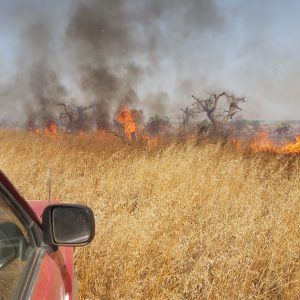 Corso Antincendio Boschivo