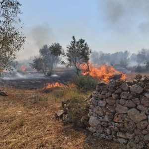 Corso Antincendio Boschivo