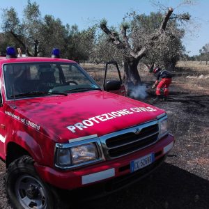 Corso Antincendio Boschivo