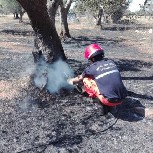 Corso Antincendio Boschivo