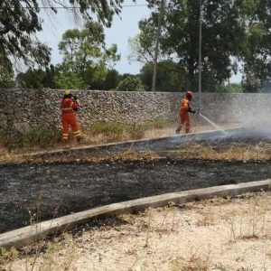 FB_IMG_1499253561446