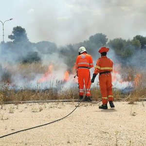 FB_IMG_1499253569827