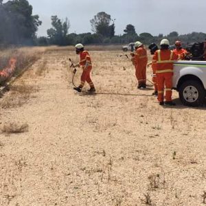 FB_IMG_1499253578367